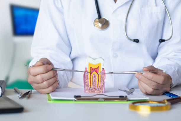 Best Emergency Dental Services for Seniors in West End, NY